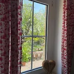 Tatil Evi Weissburgunder Am Weinberg *