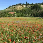Weissburgunder Am Weinberg *